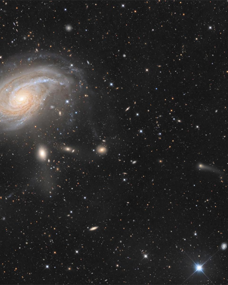 NGC 772: The Fiddlehead Galaxy