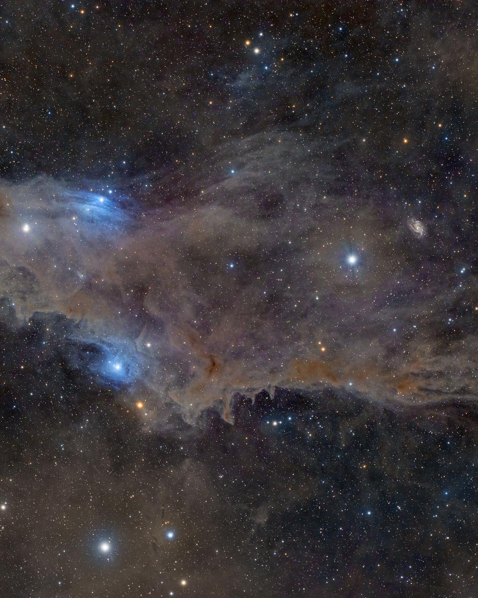 LDN 1235: The Shark Nebula