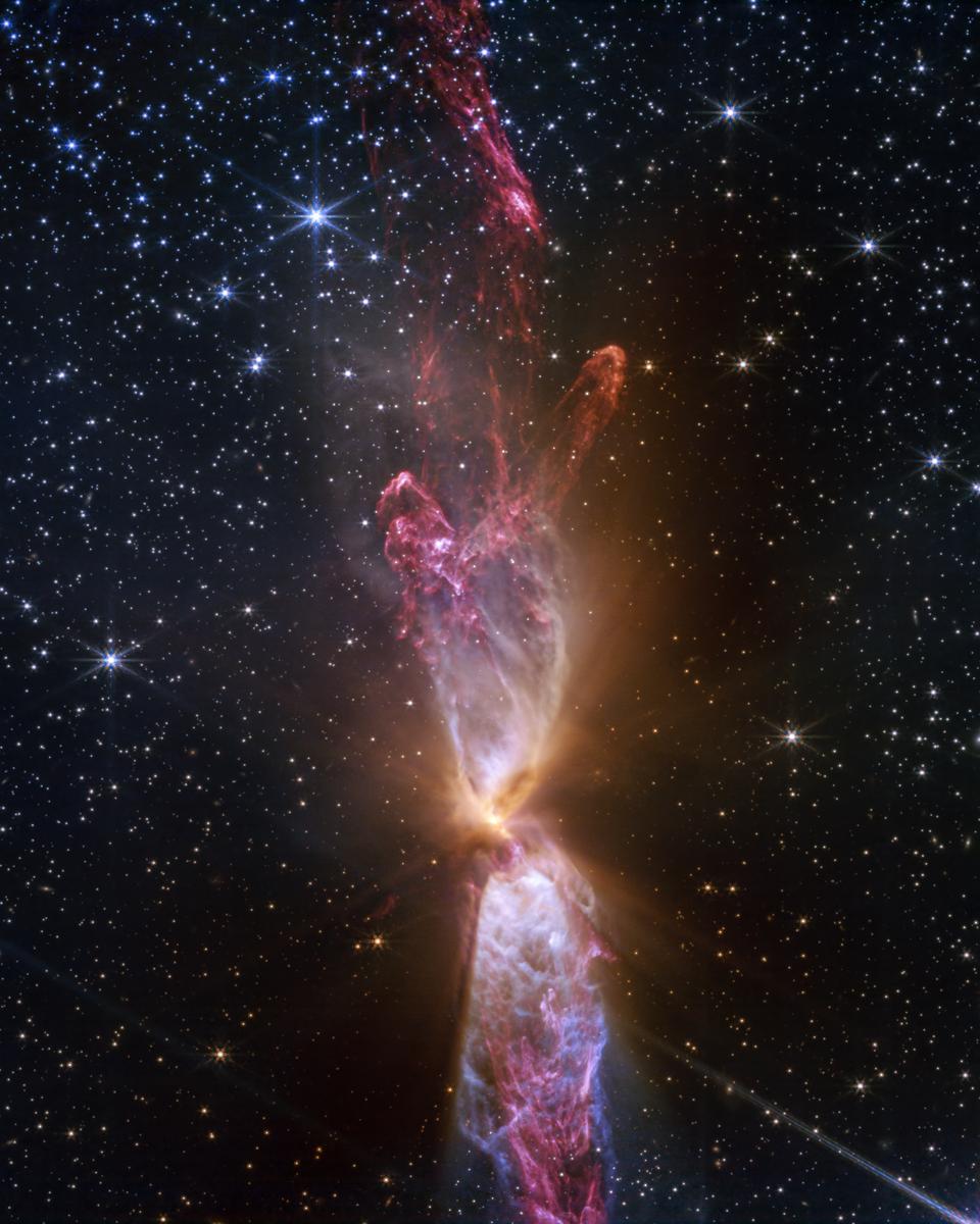 The Protostars within Lynds 483