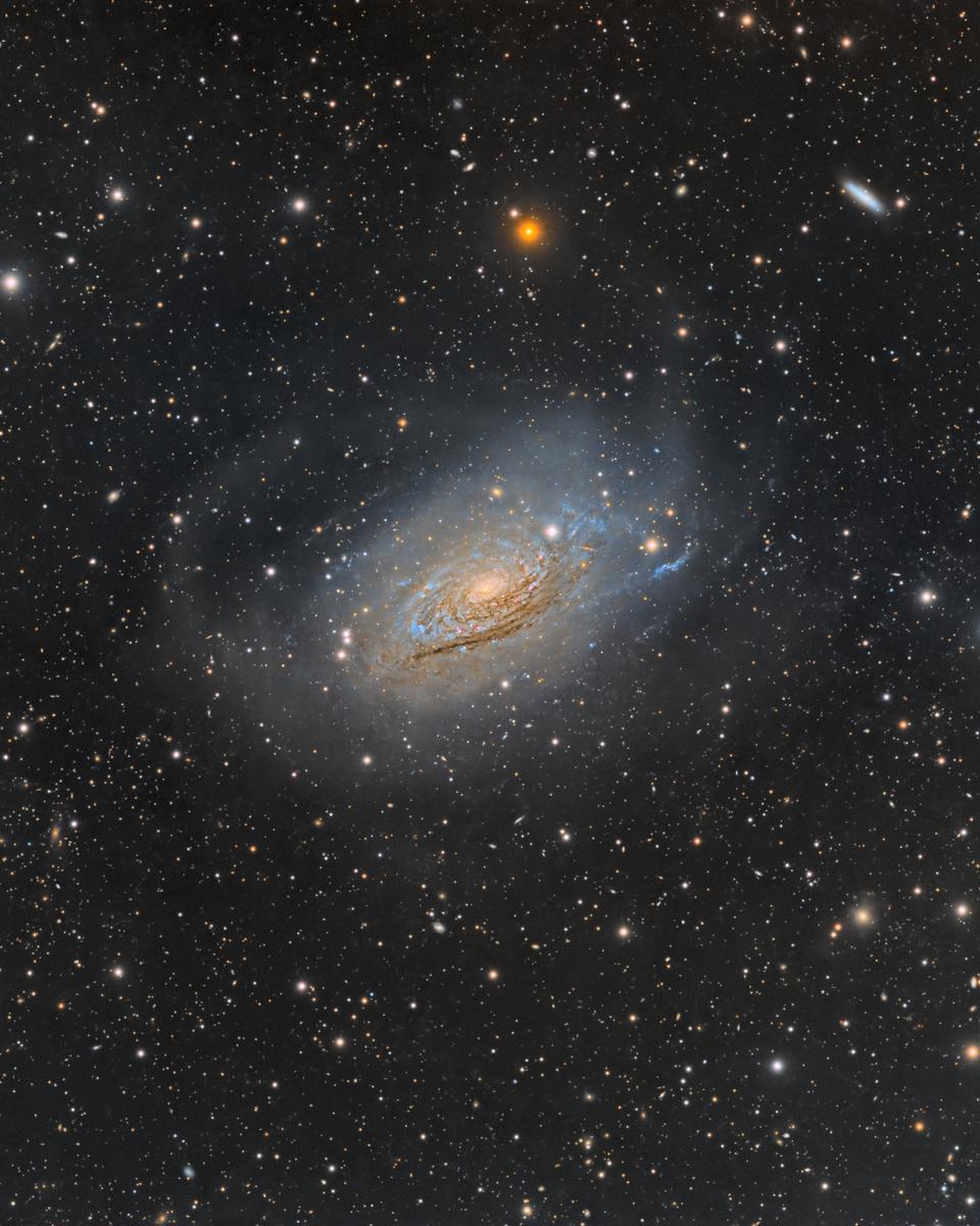 Curly Spiral Galaxy M63
