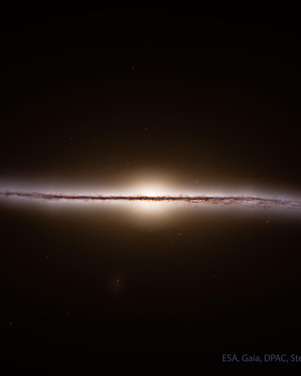 Gaia Reconstructs a Side View of our Galaxy