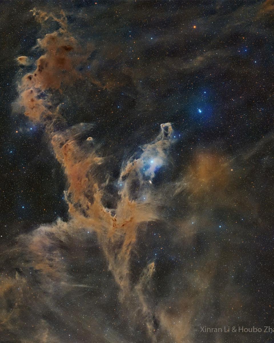 Chamaeleon Dark Nebulas