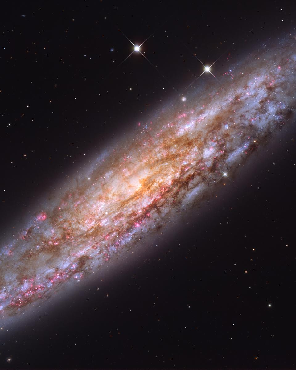 NGC 253: Dusty Island Universe