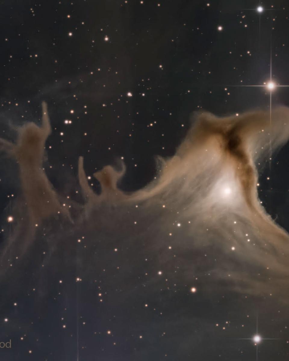 Dust Shapes of the Ghost Nebula
