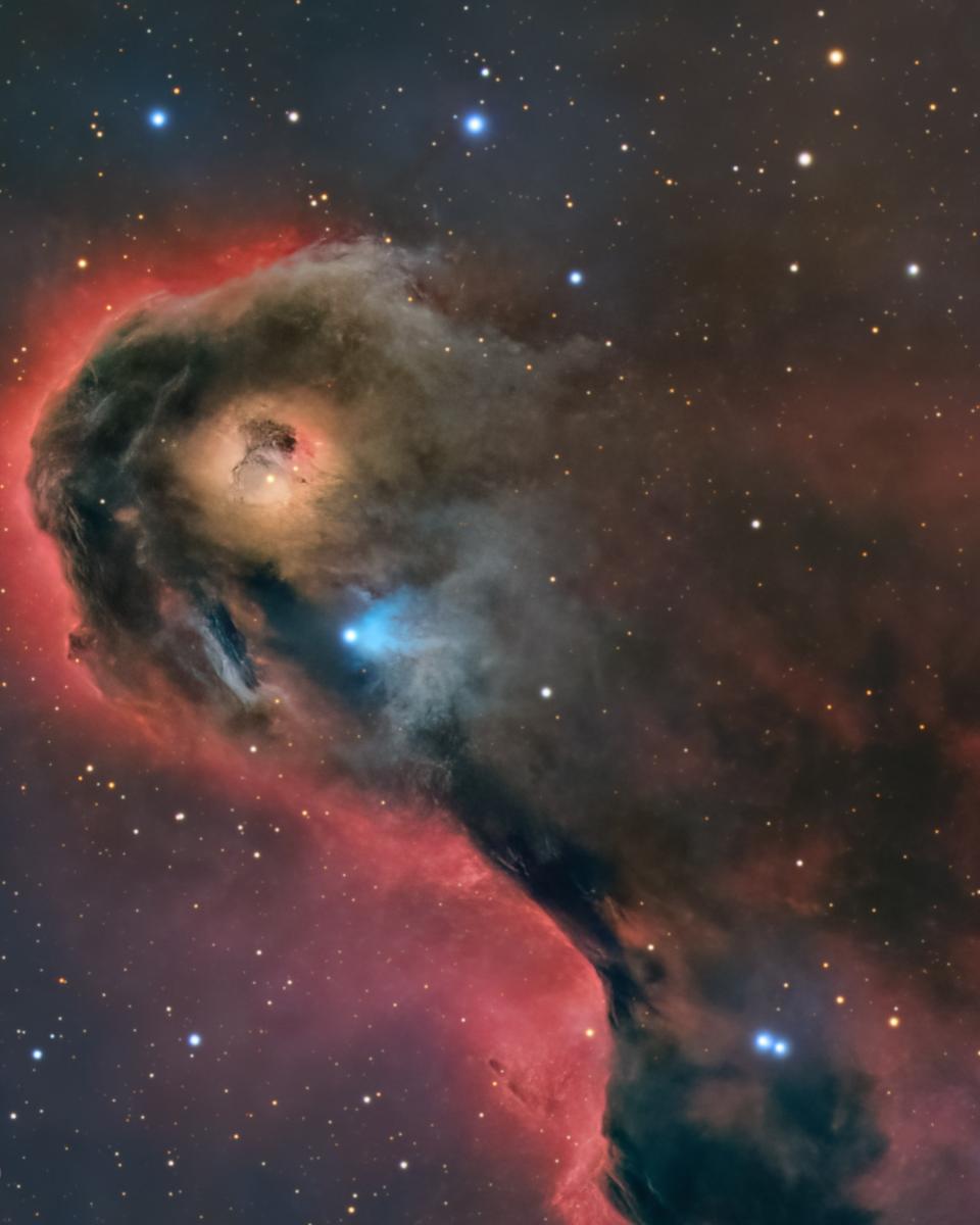 An Unusual Globule in IC 1396