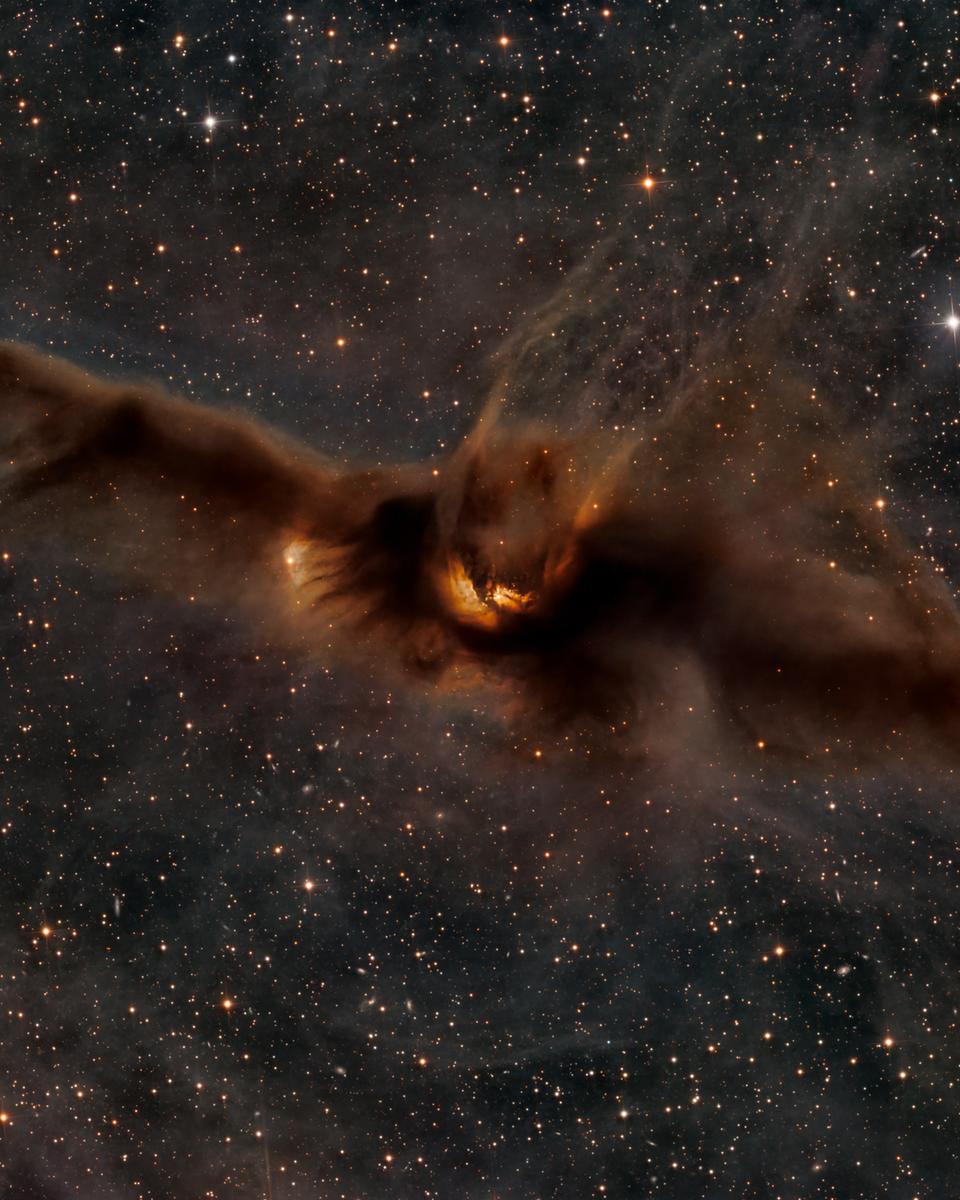 Lynds Dark Nebula 43