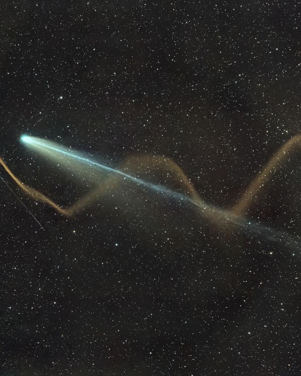 Two Tails of Comet Lemmon
