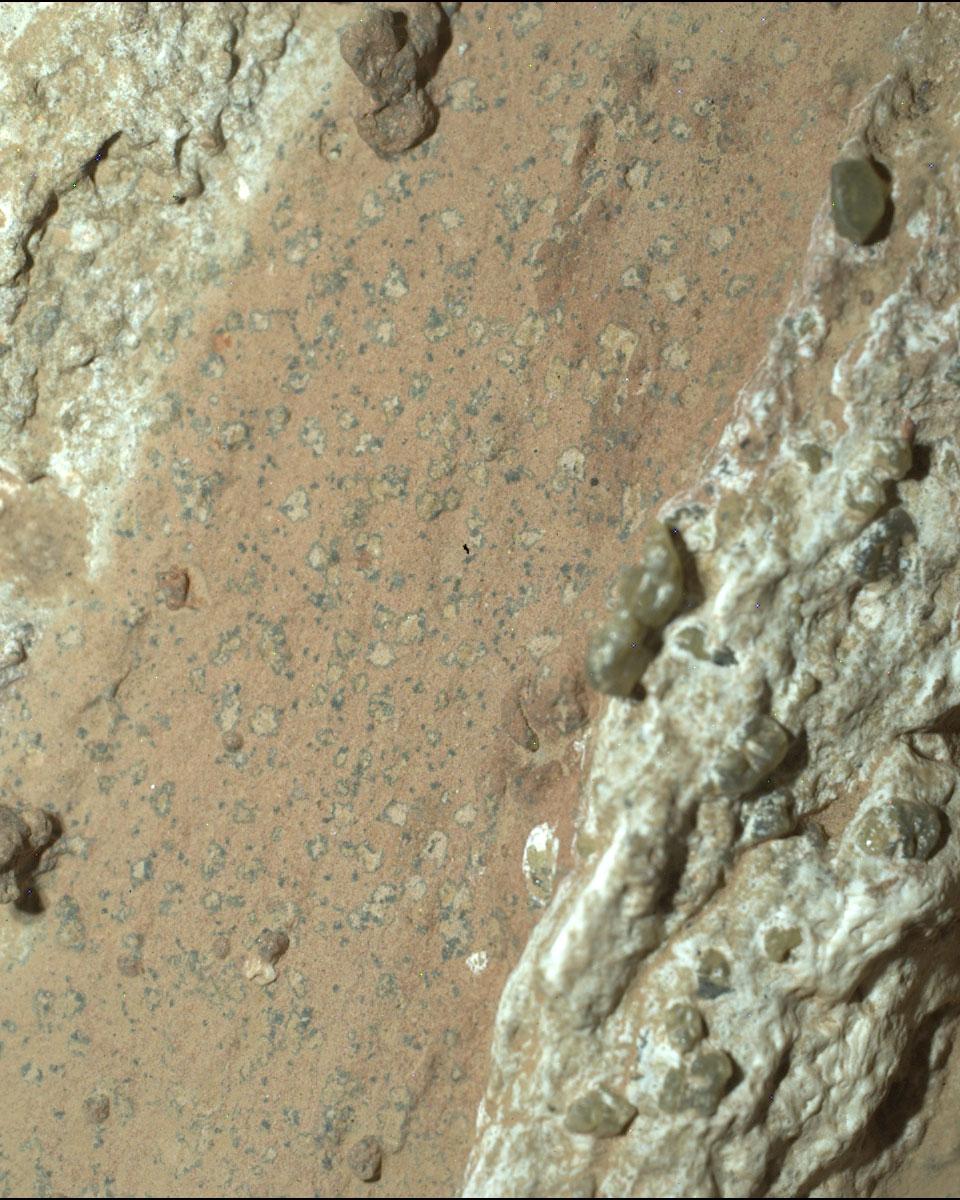 Leopard Spots on Martian Rocks