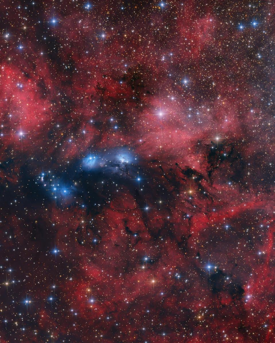 The NGC 6914 Complex