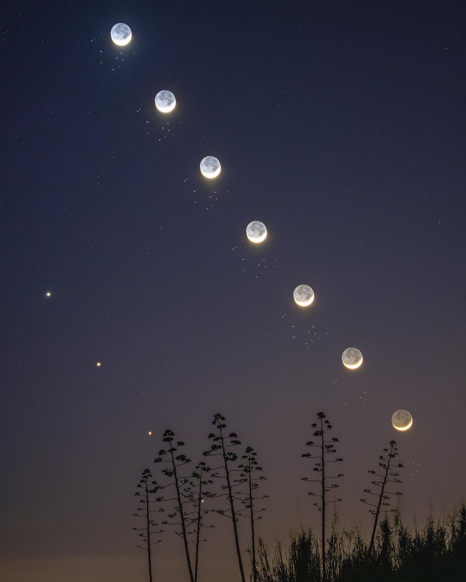 The Moon, Venus, and the Pleiades