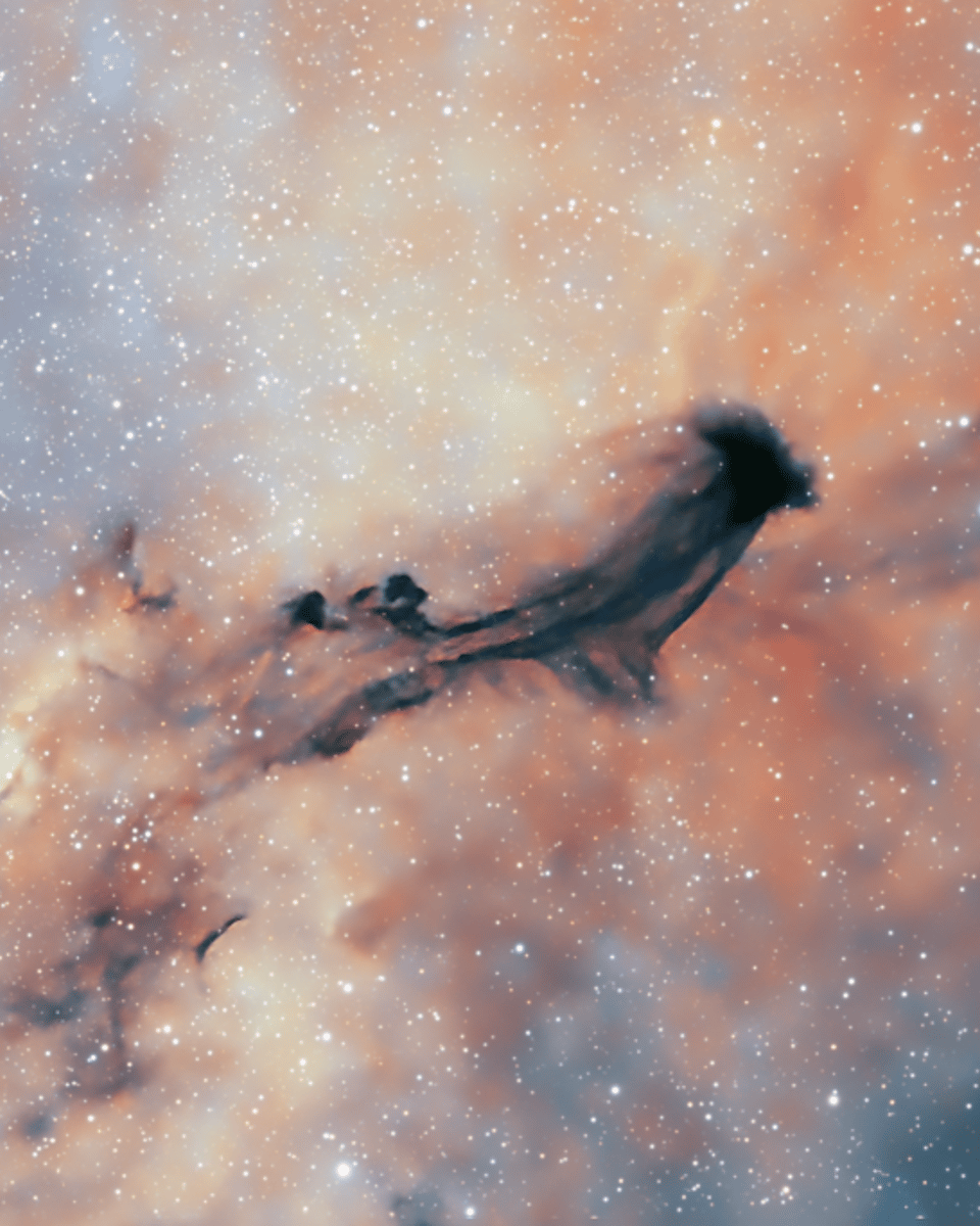 B93: A Dark Interstellar Ghost