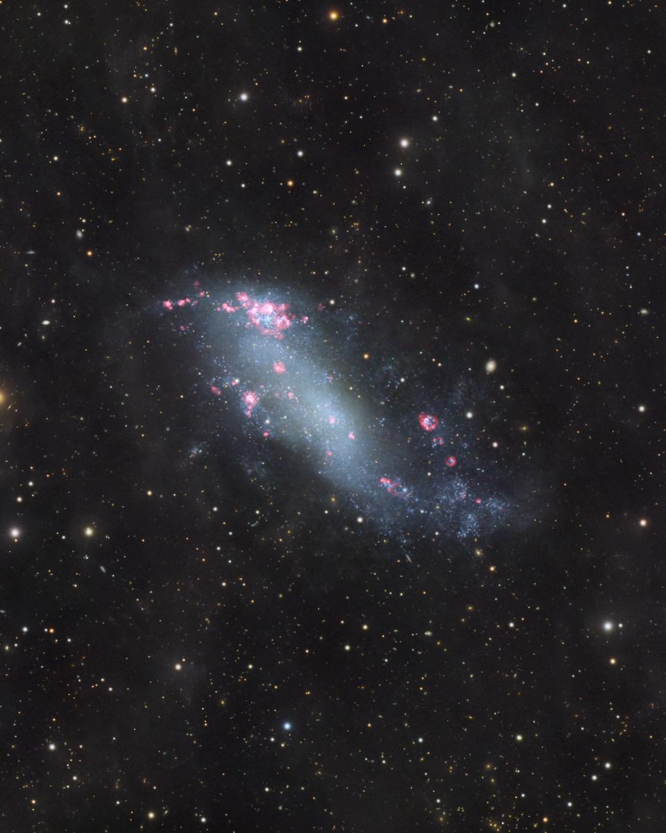 IC 2574: Coddington's Nebula