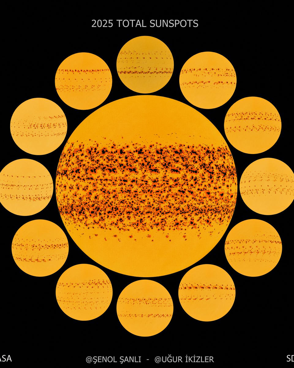 A Year of Sunspots