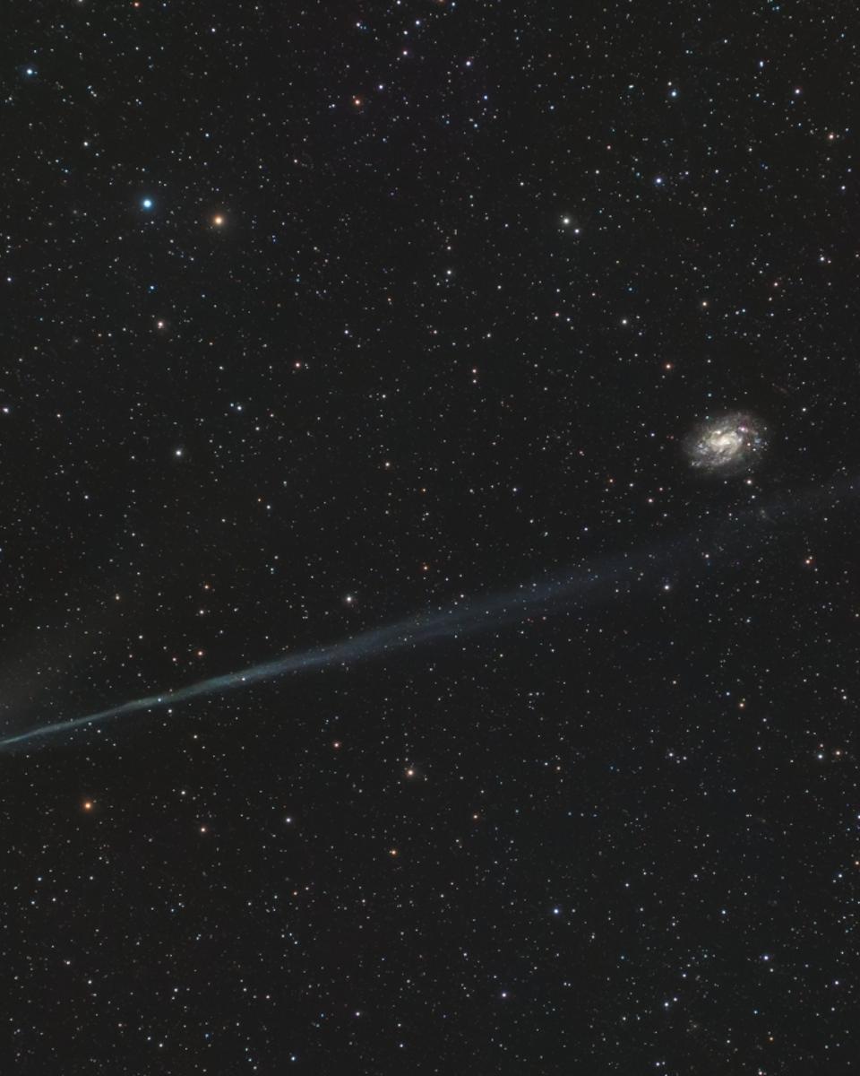 Tails of Comet Wierzchoś