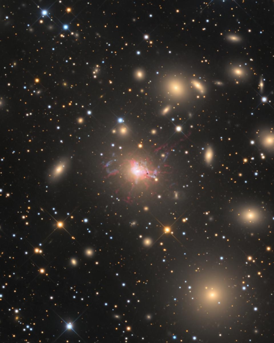 NGC 1275 in the Perseus Cluster
