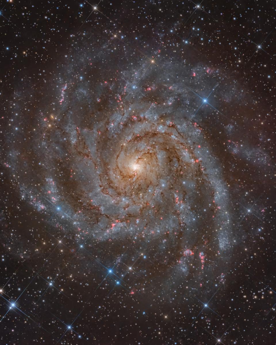 IC 342: Hidden Galaxy in Camelopardalis
