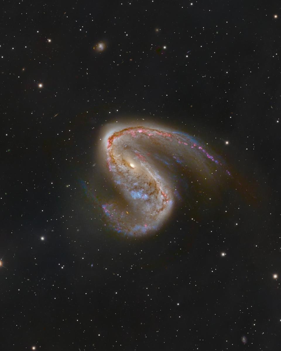NGC 2442: Galaxy in Volans