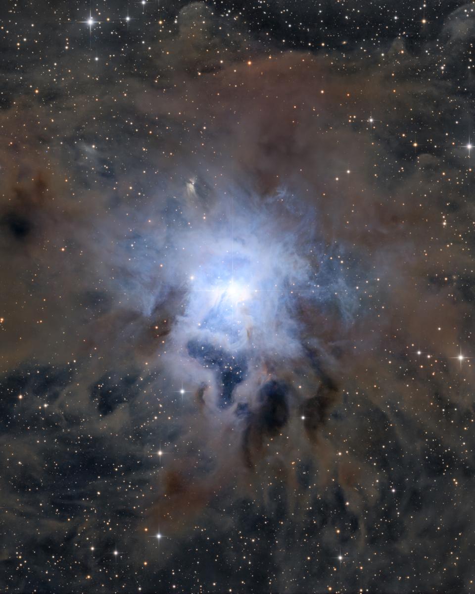 NGC 7023: The Iris Nebula