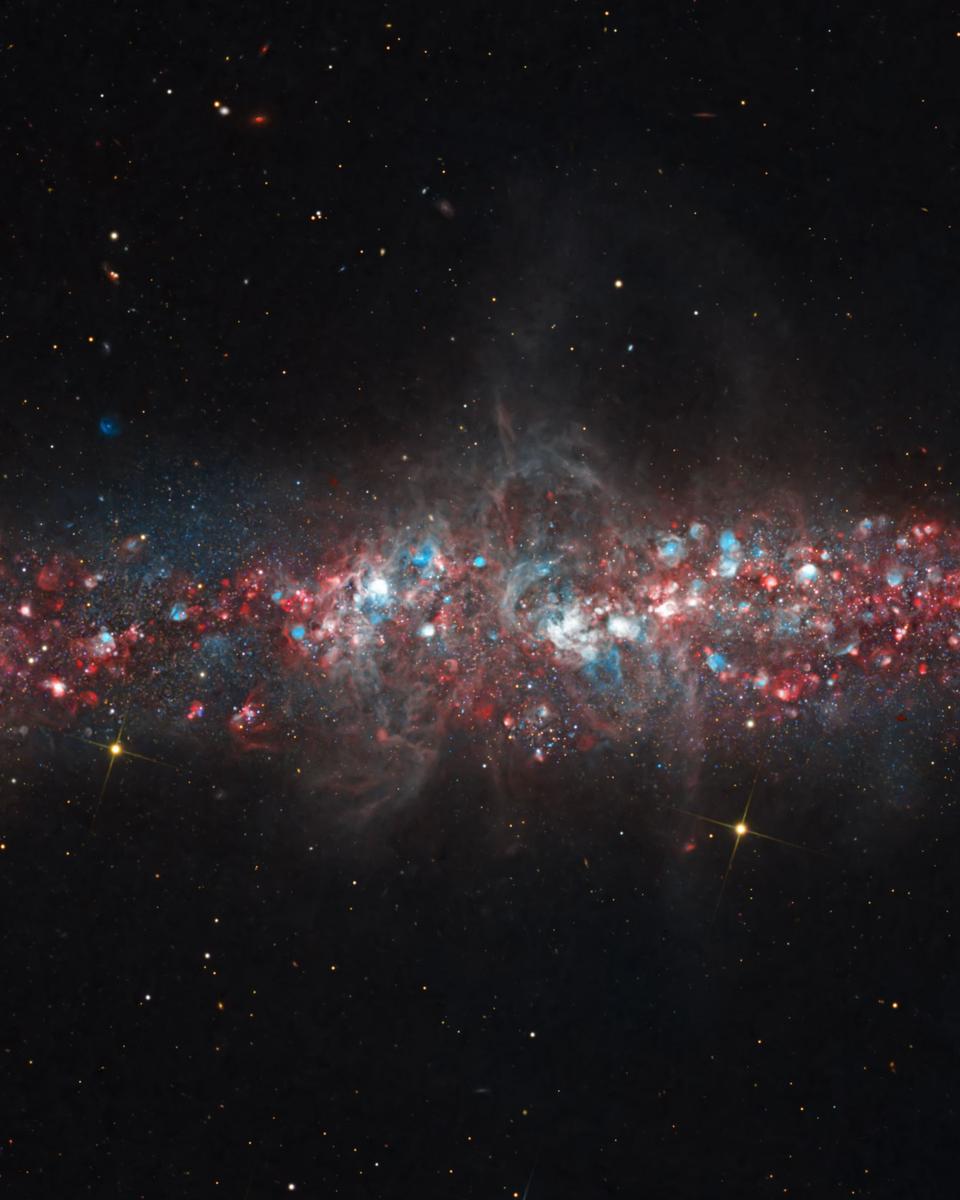 NGC 55: A Galaxy of Nebulas