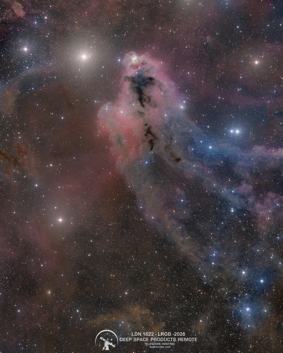 LDN 1622: Dark Nebula in Orion