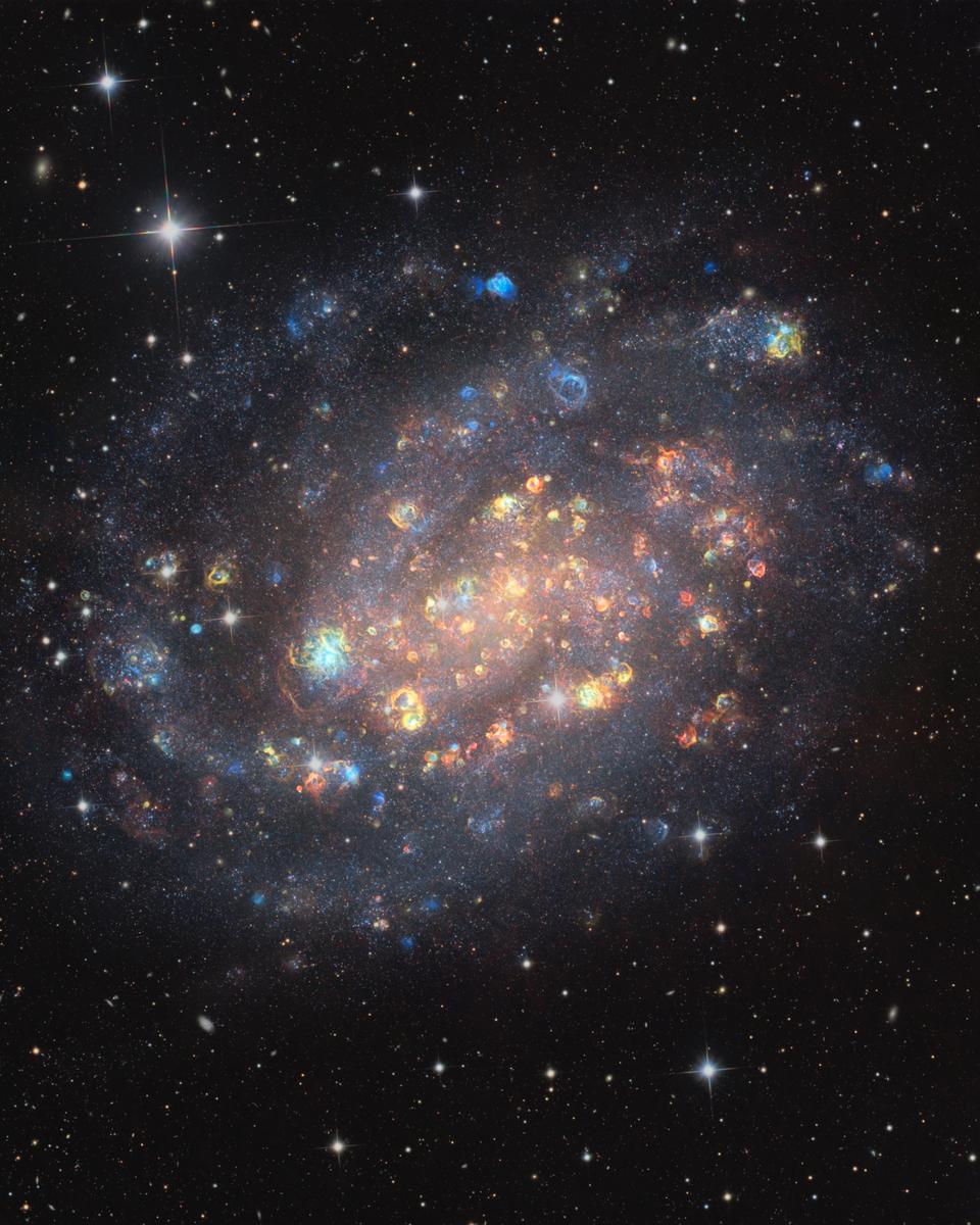 NGC 300: A Cosmic Gemstone with Stars and Gas Clouds