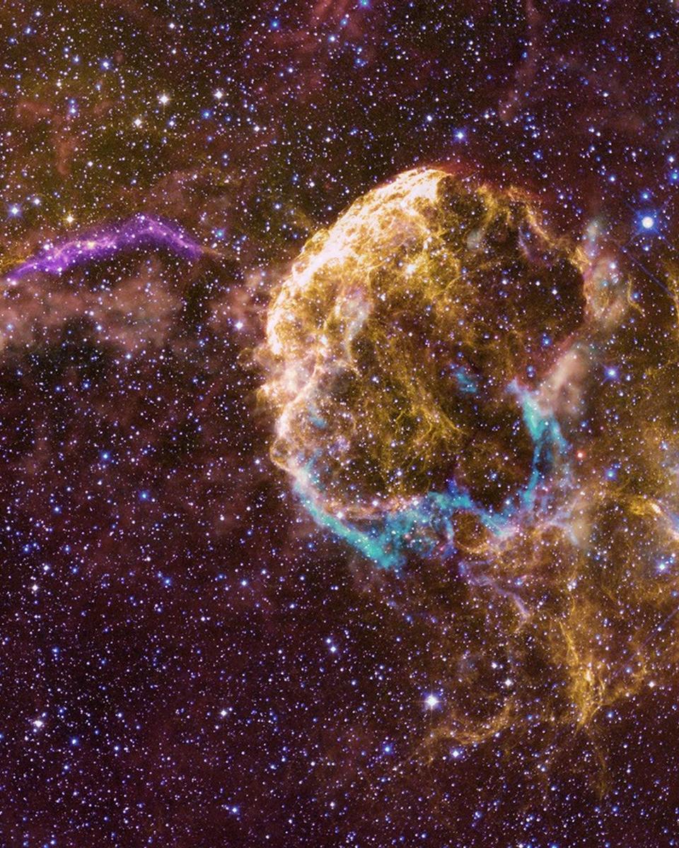 Sibling Supernova Remnants