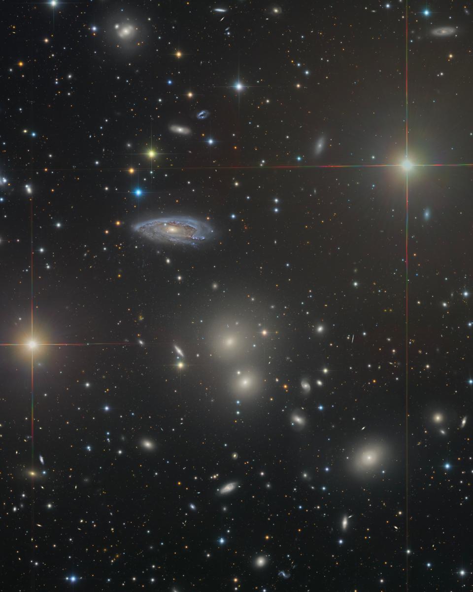 The Hydra Cluster of Galaxies