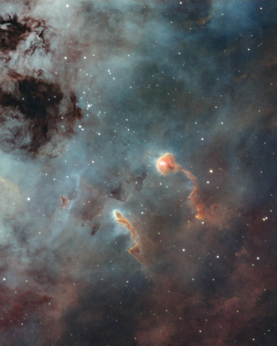 The Tadpoles of IC 410