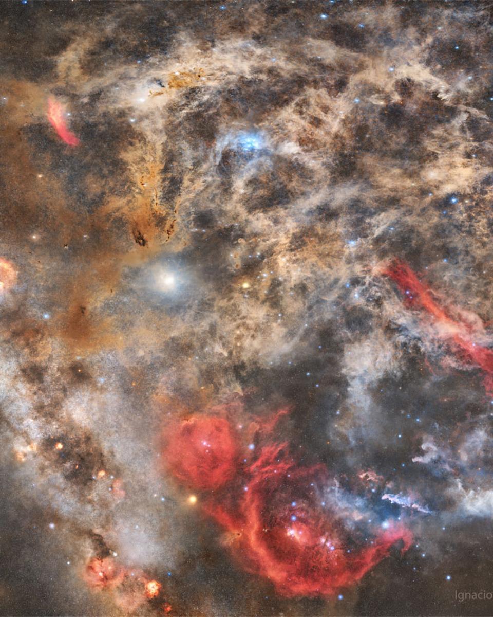 The Dusty Surroundings of Orion and the Pleiades