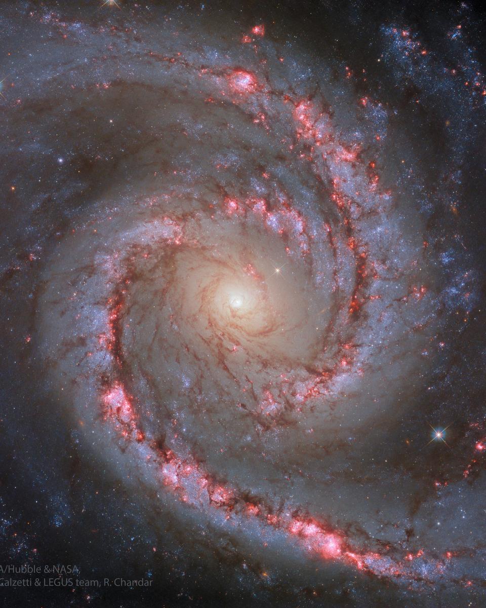 NGC 1566: The Spanish Dancer Galaxy