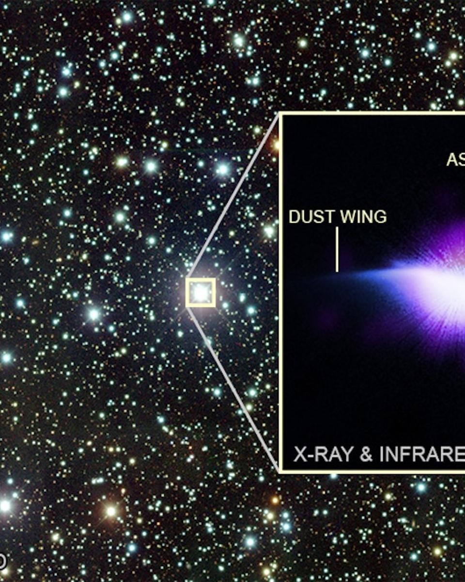 The Astrosphere of HD 61005