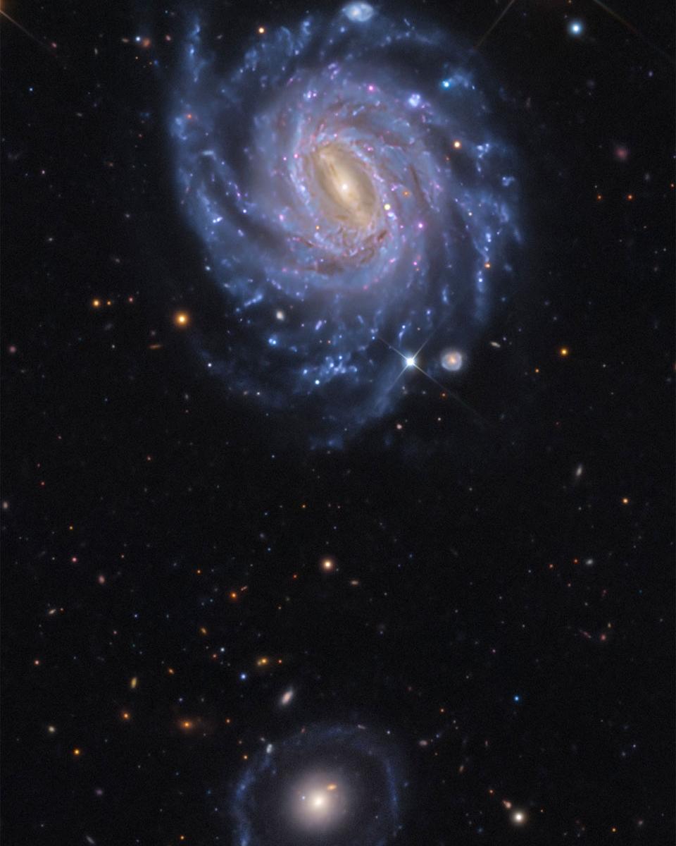 NGC 3660 and Burçin's Galaxy