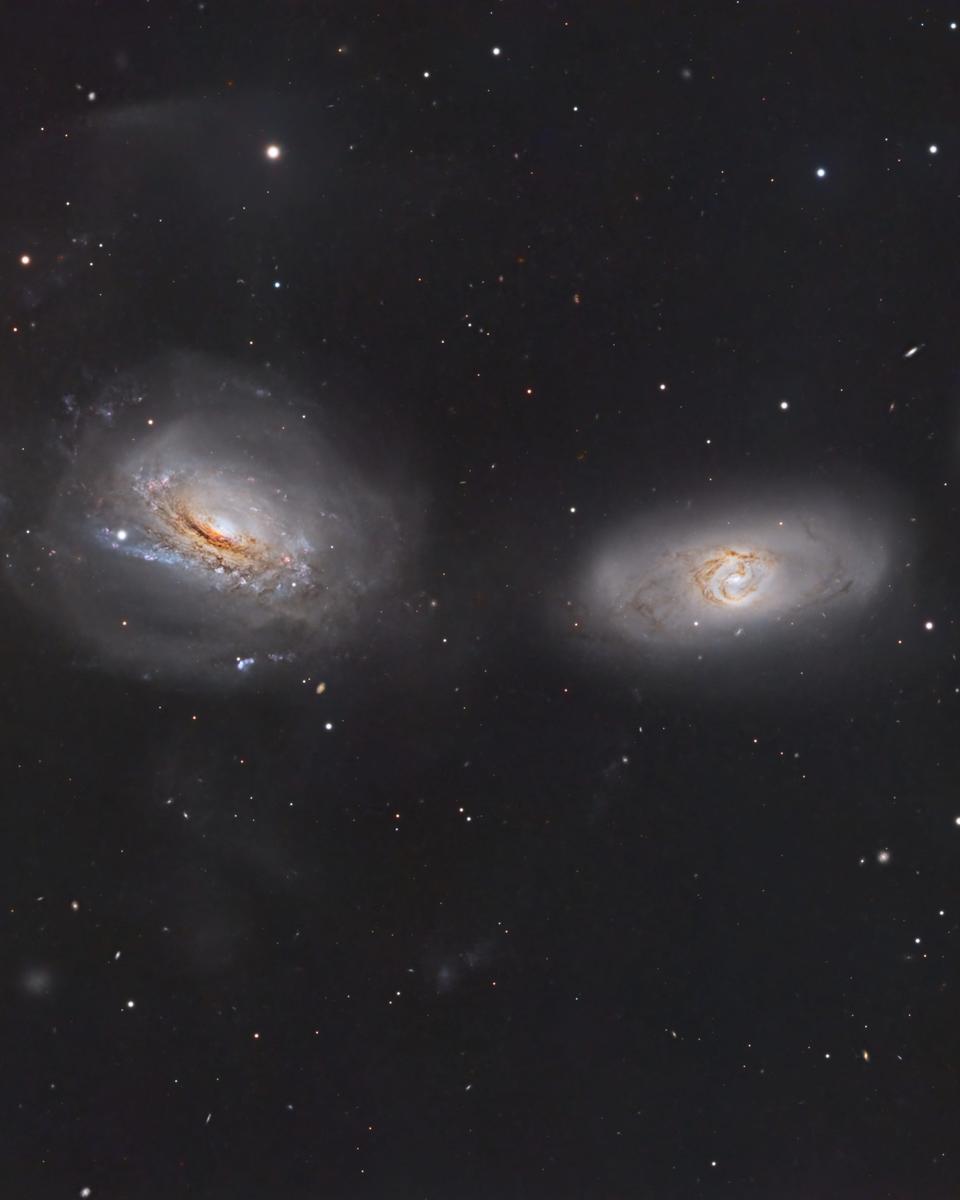Unraveling NGC 3169