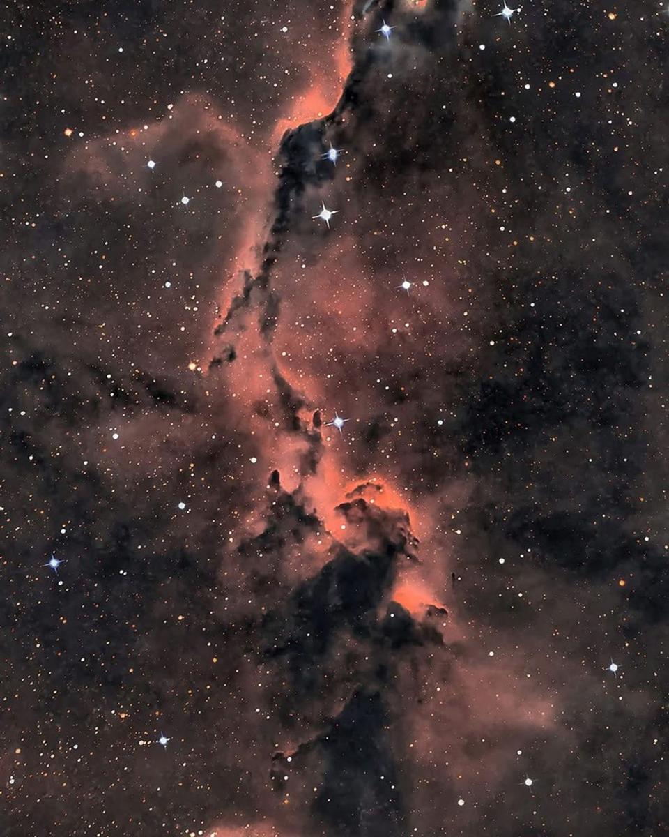 The Elephant's Trunk in Cepheus