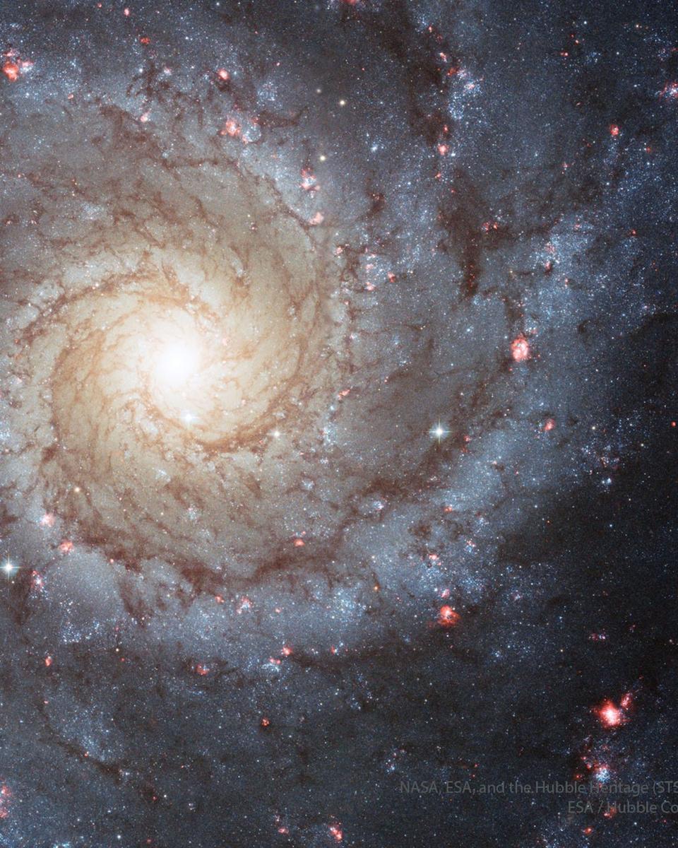M74: A Grand Design Spiral