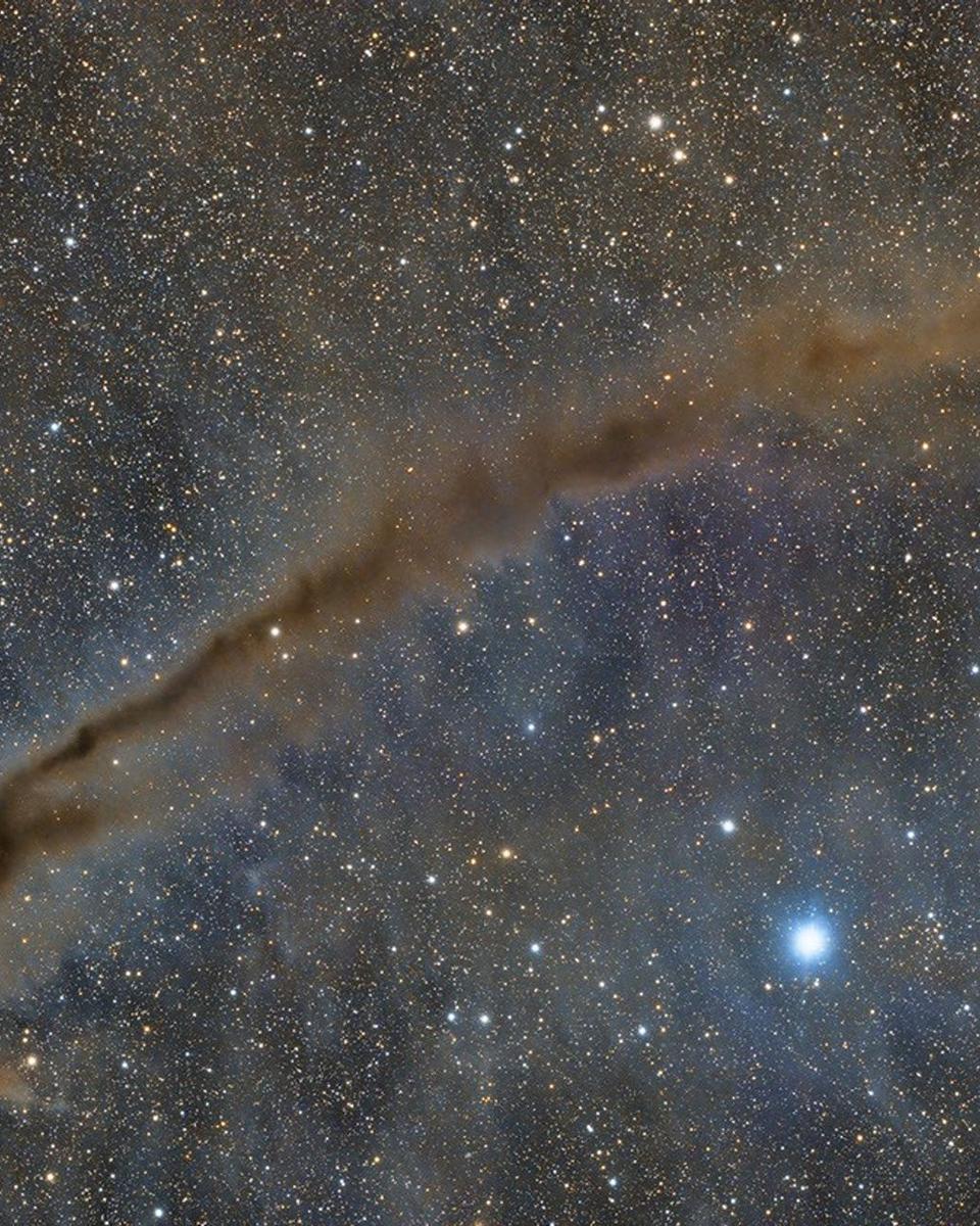 NGC 4372 and the Dark Doodad