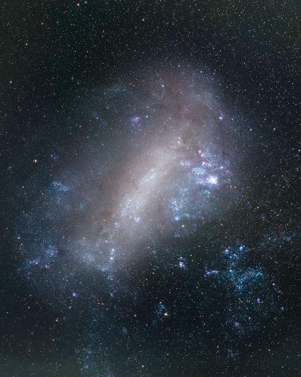 The Large Magellanic Cloud