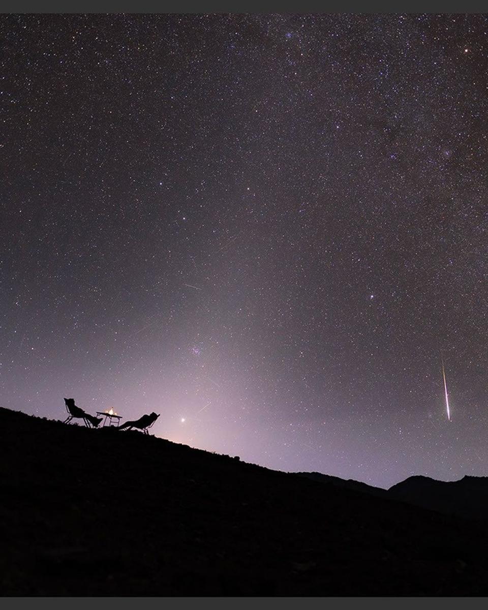 A Zodiacal Night