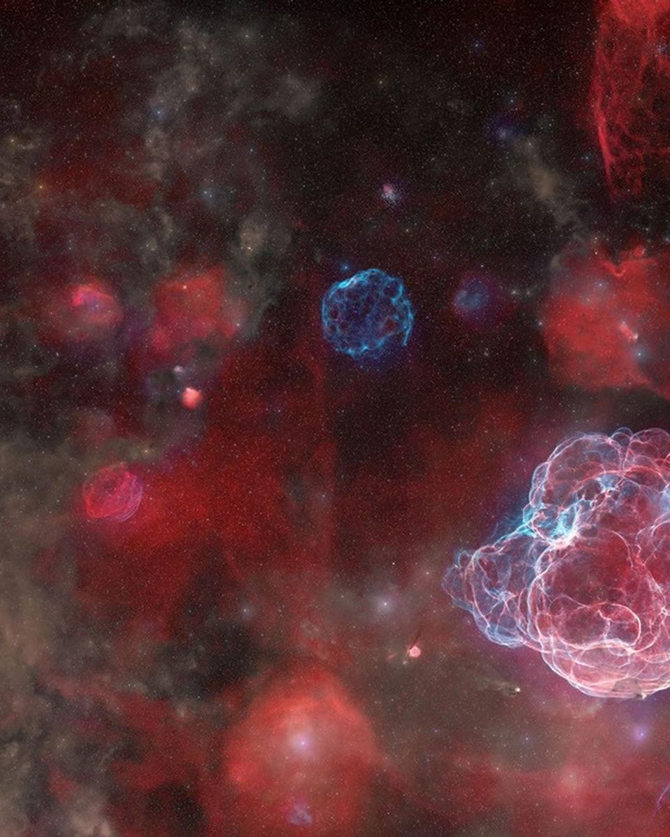 The Ghosts of Five Supernovas