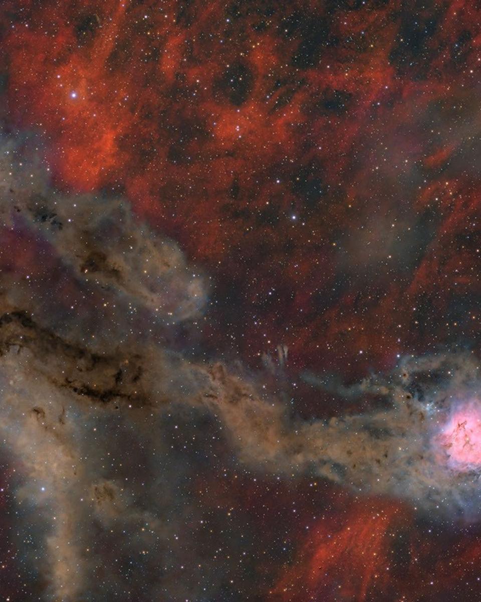Cocoon Nebula Wide Field