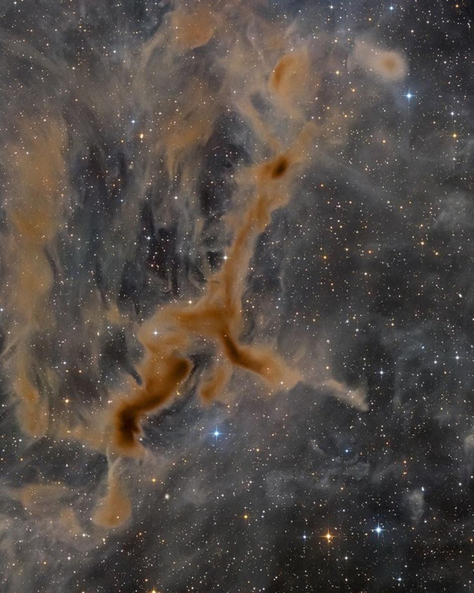 LDN 1295: The Giraffe Nebula