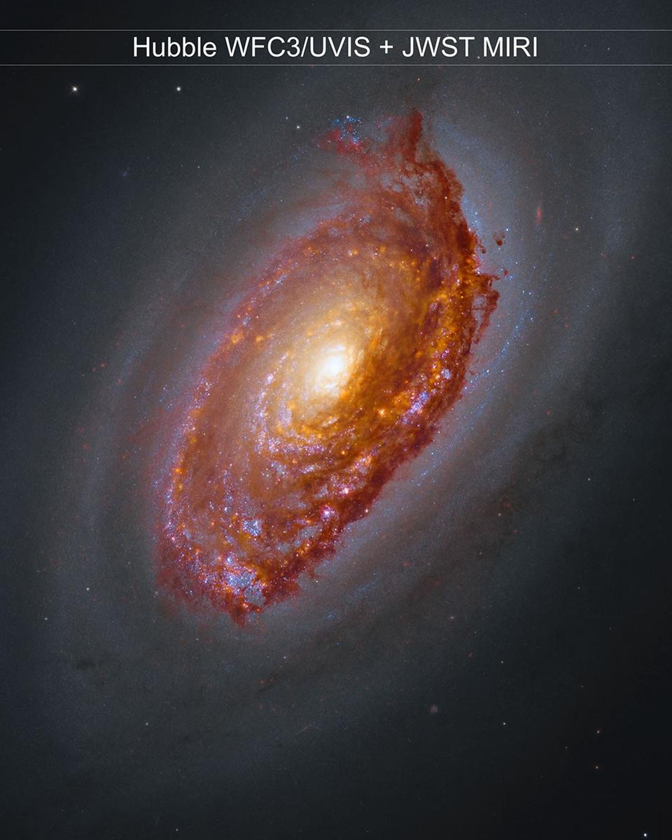 Webb's View of M64