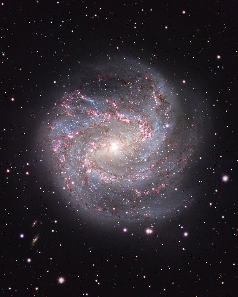 M83: The Southern Pinwheel