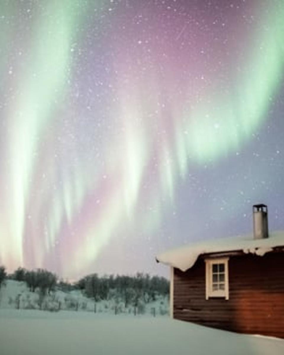 Trees, Stars, Aurora!
