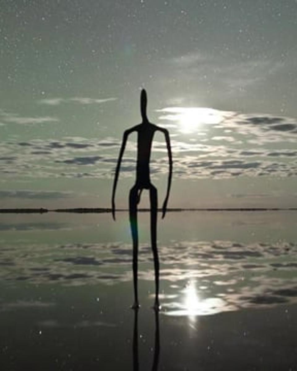 Nocturnal: Scenes from the Southern Night