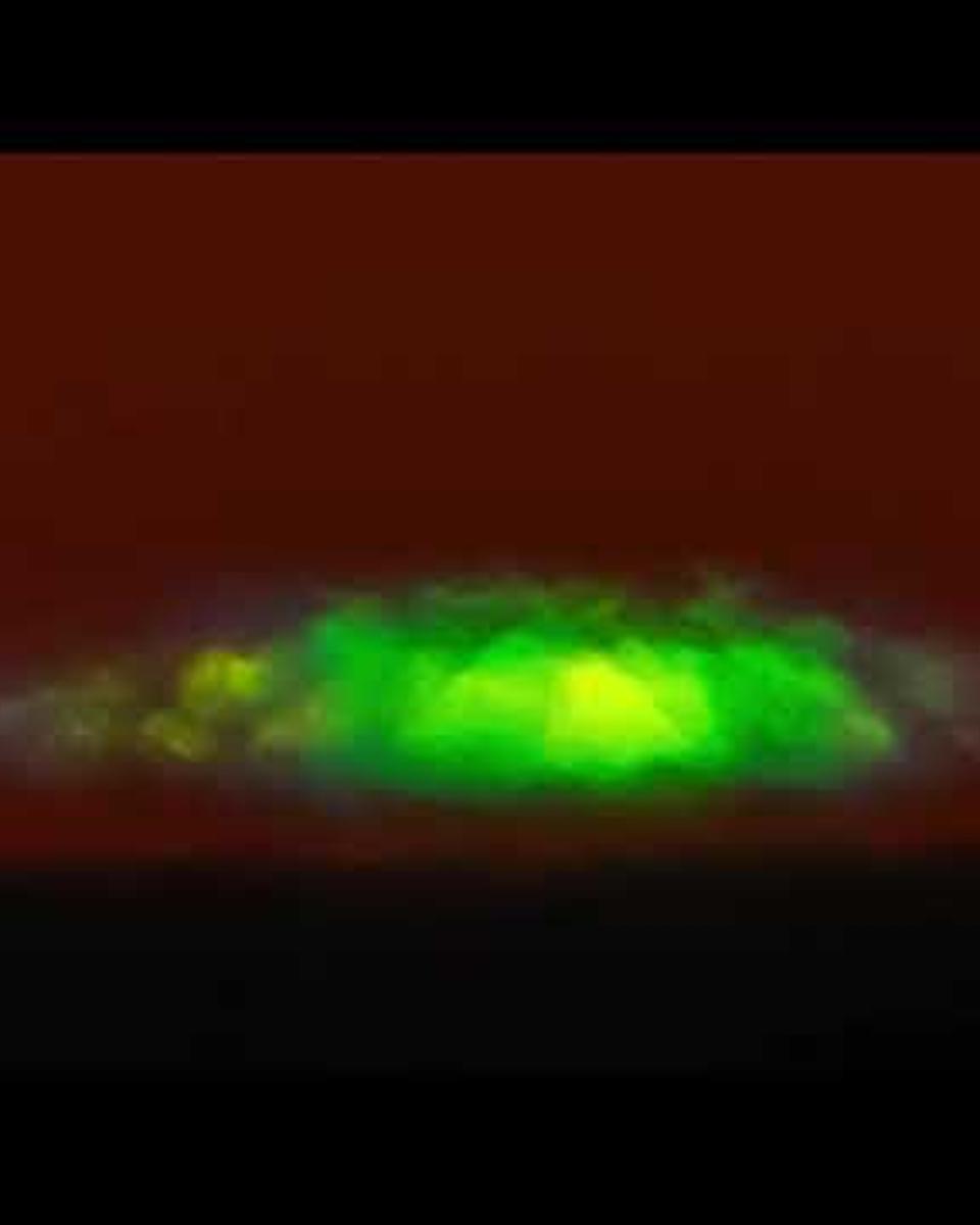 Video of a Green Flash