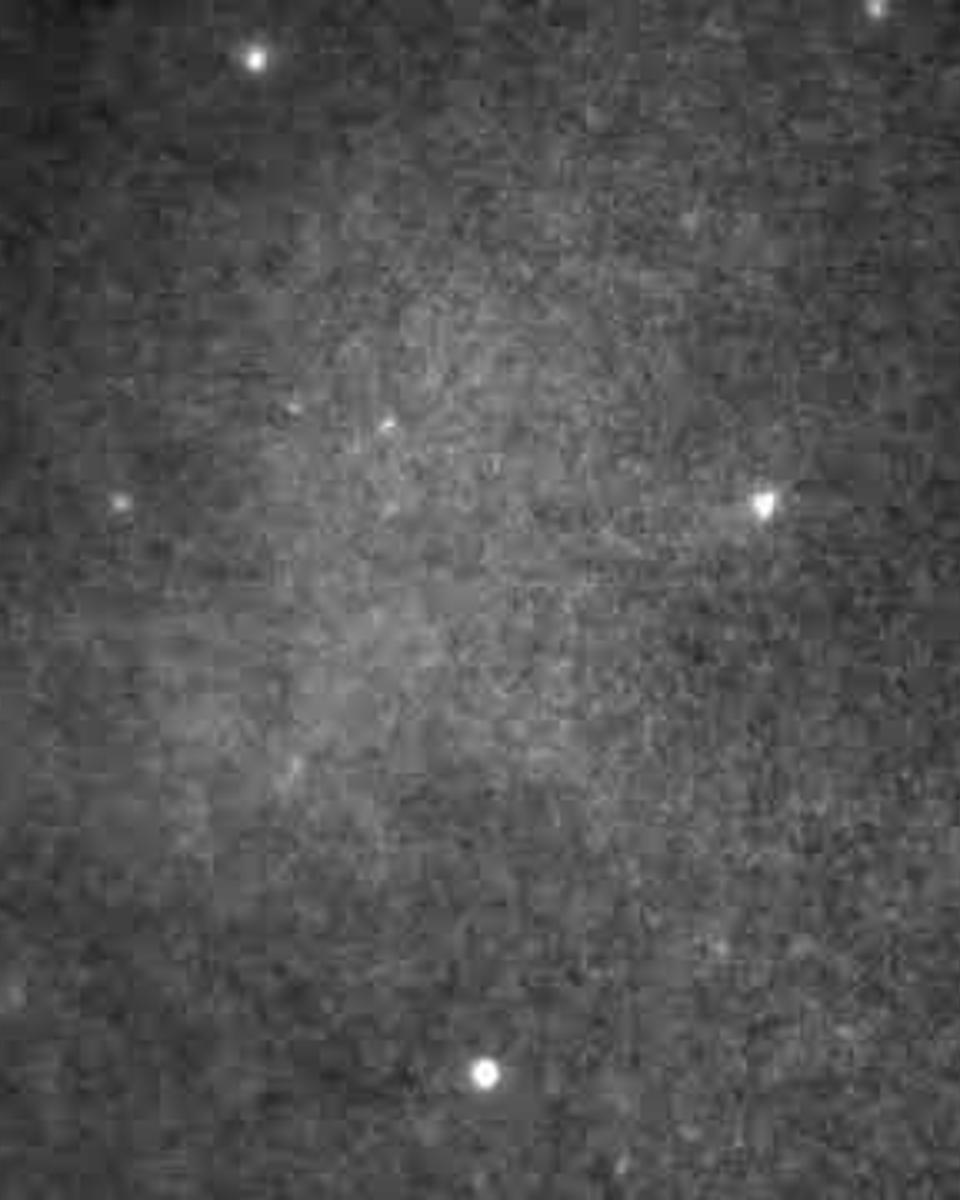 Flashes of the Crab Pulsar