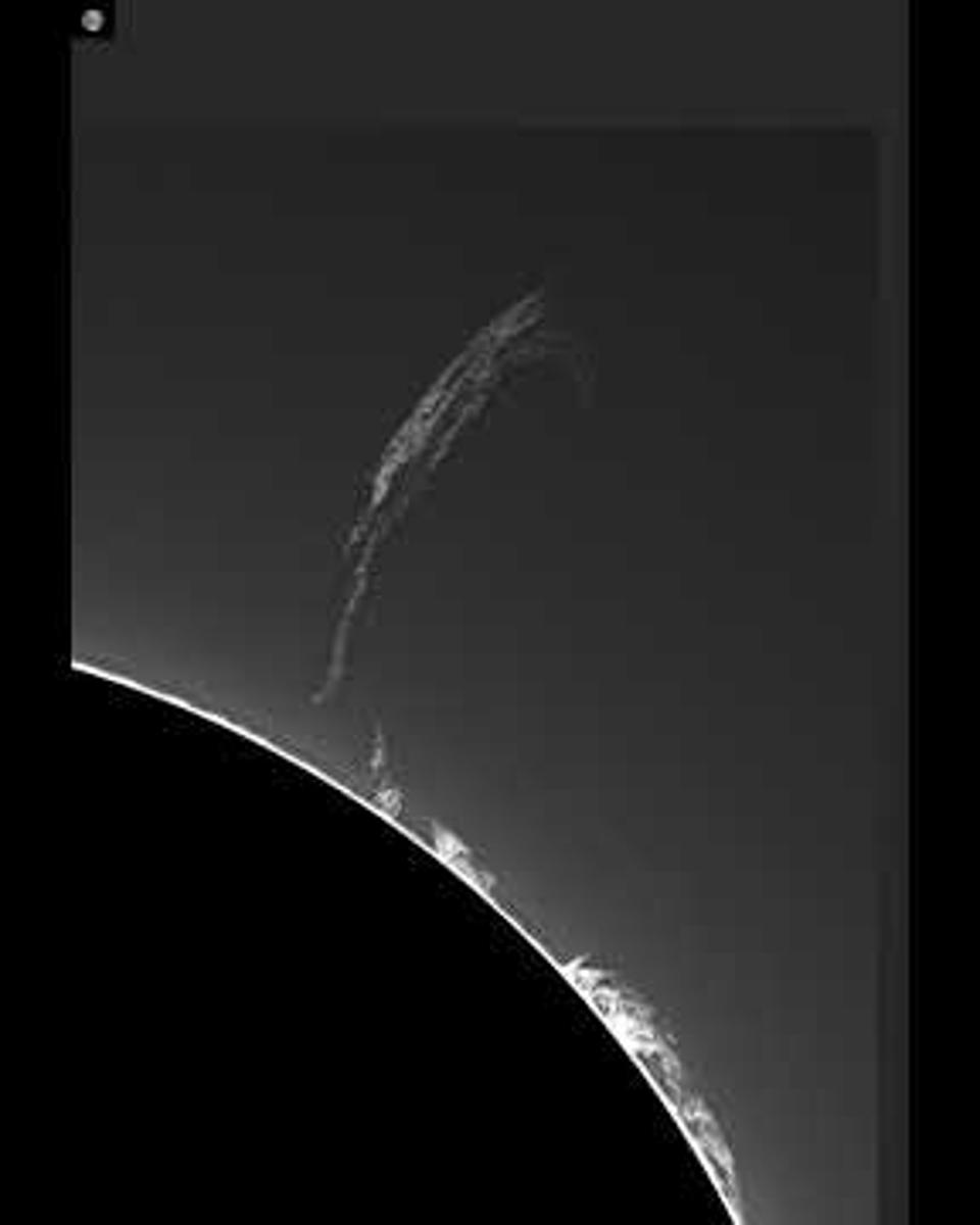 A Filament Leaps from the Sun