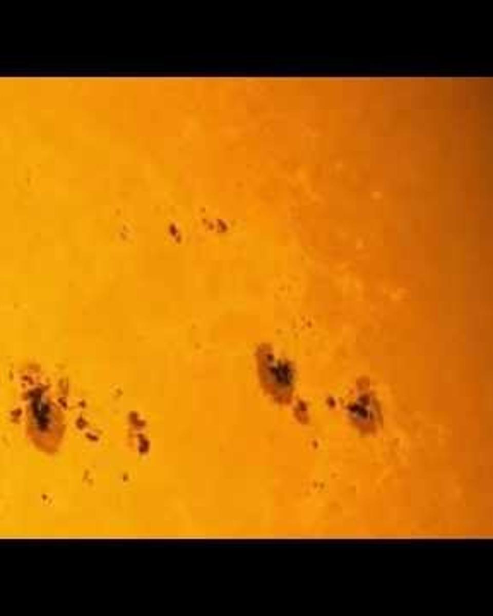 Sunspot Group AR 2339 Crosses the Sun