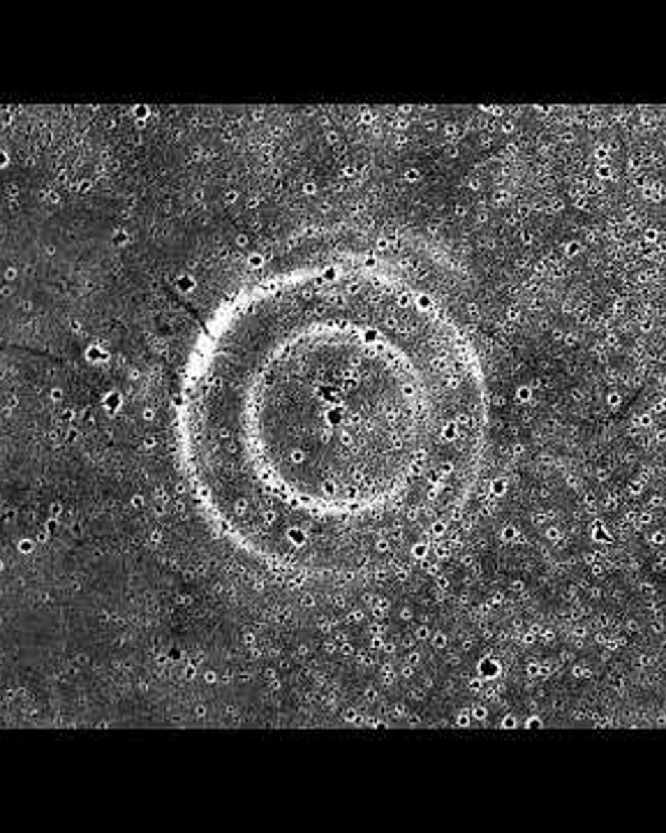 The Expanding Echoes of Supernova 1987A